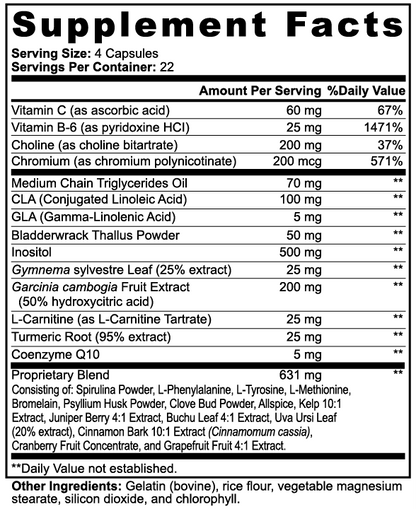 Fat Burner with MCT – Natural metabolism support with coconut oil | Shiylohe-Femme